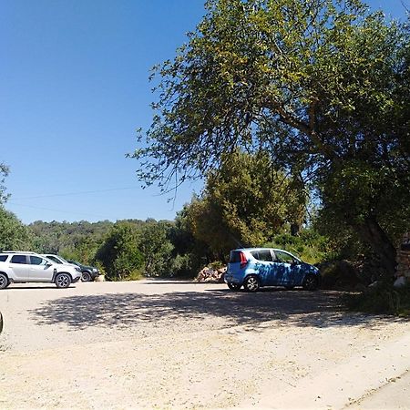 Quinta Dos Valados Bed and Breakfast Querenca Εξωτερικό φωτογραφία