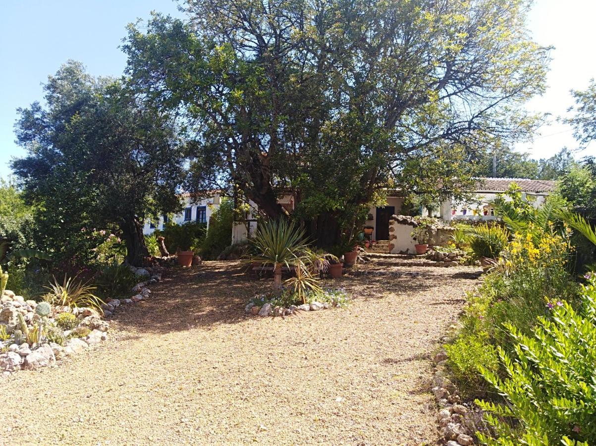 Quinta Dos Valados Bed and Breakfast Querenca Εξωτερικό φωτογραφία